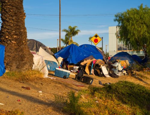 LA VIVIENDA DIGNA QUE TODOS MERECEMOS.